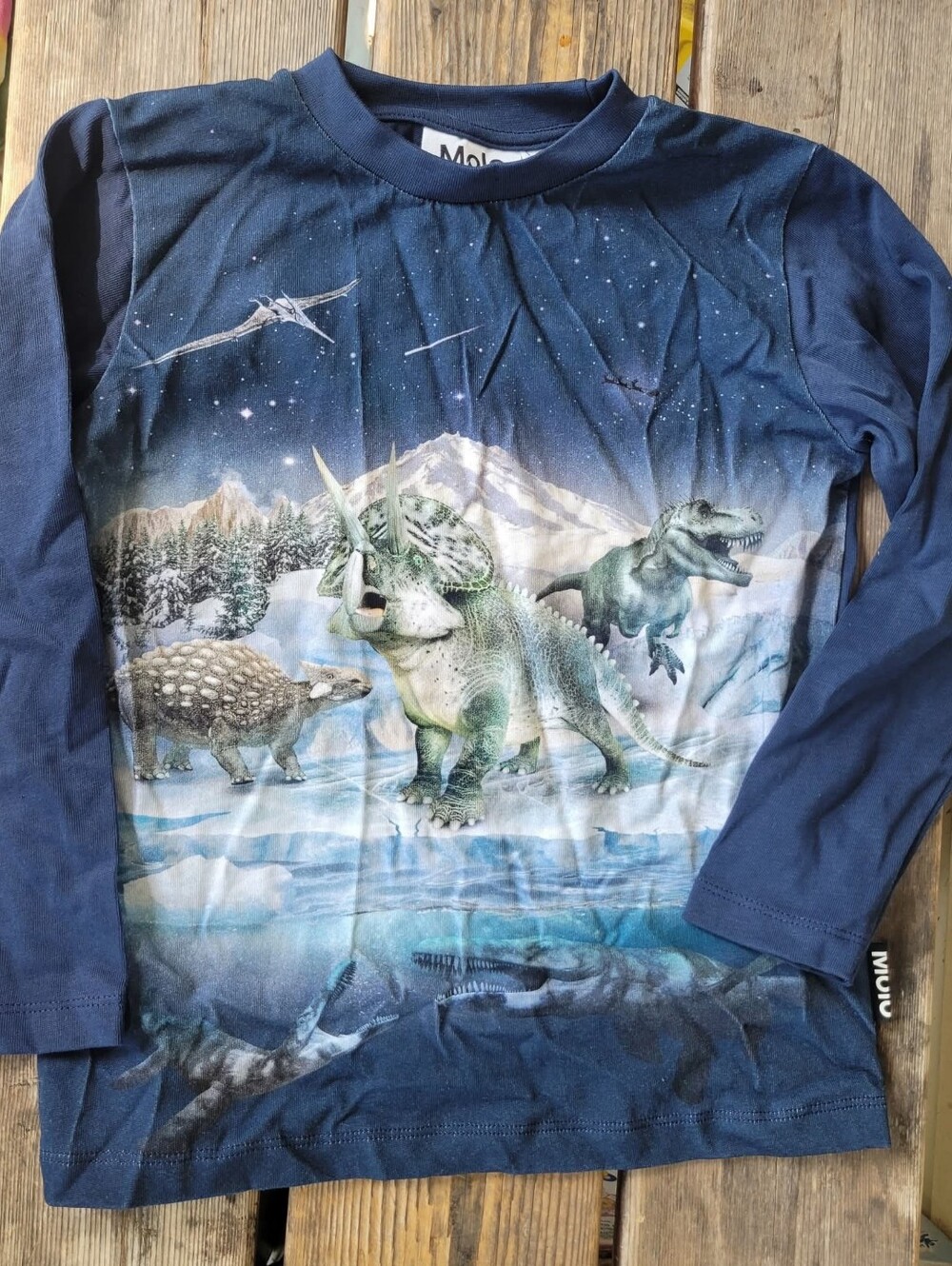 RARE* MOLO Kids SZ 6 VGUC Blue "Reif" Dinosaur ICY Realistic Pullover Sweatshirt